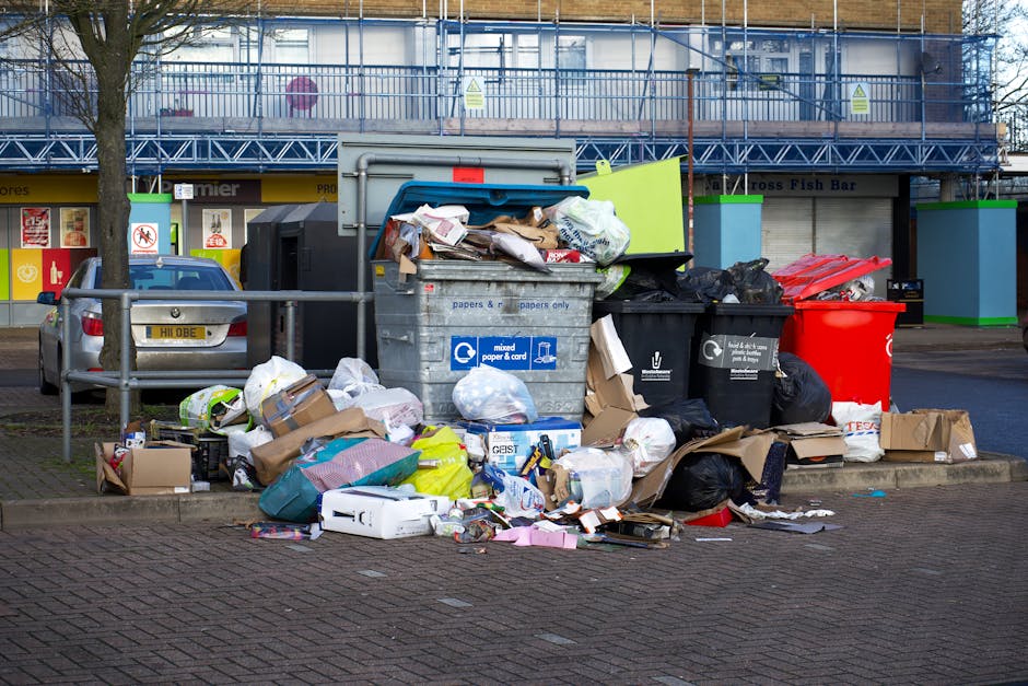 A row of residential wheelie bins lined up along a pavement beside a brick wall, with each bin featuring a large, hinged lid. The bins are primarily bright blue, green, and red in colour, with some displaying white recycling symbols or markings. The green bin closest to the camera has a textured lid with ridges, and the blue bins behind have smooth surfaces. The scene suggests a typical waste disposal area outside a household or administrative building, with the bins arranged neatly for waste collection. The background shows a slight blur of greenery and part of a building, indicating an outdoor urban or suburban setting. The lighting is natural, with soft daylight illuminating the scene, emphasizing the colours and textures of the plastic bins. This visual relates to private waste collection services, such as those provided by Rubbish Clearance Catford, illustrating the organised approach to rubbish removal at residential properties.